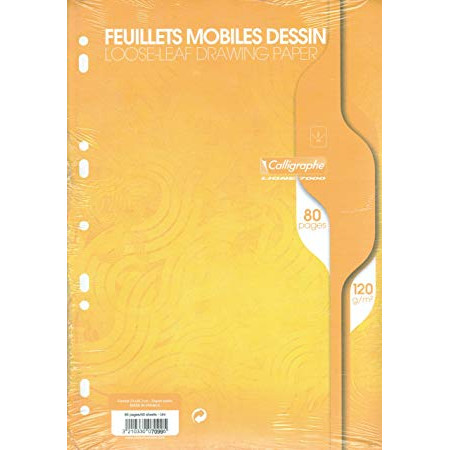 FEUILLETS DE DESSIN MOBILE PERFOREE, Format A4 - 80 PAGES