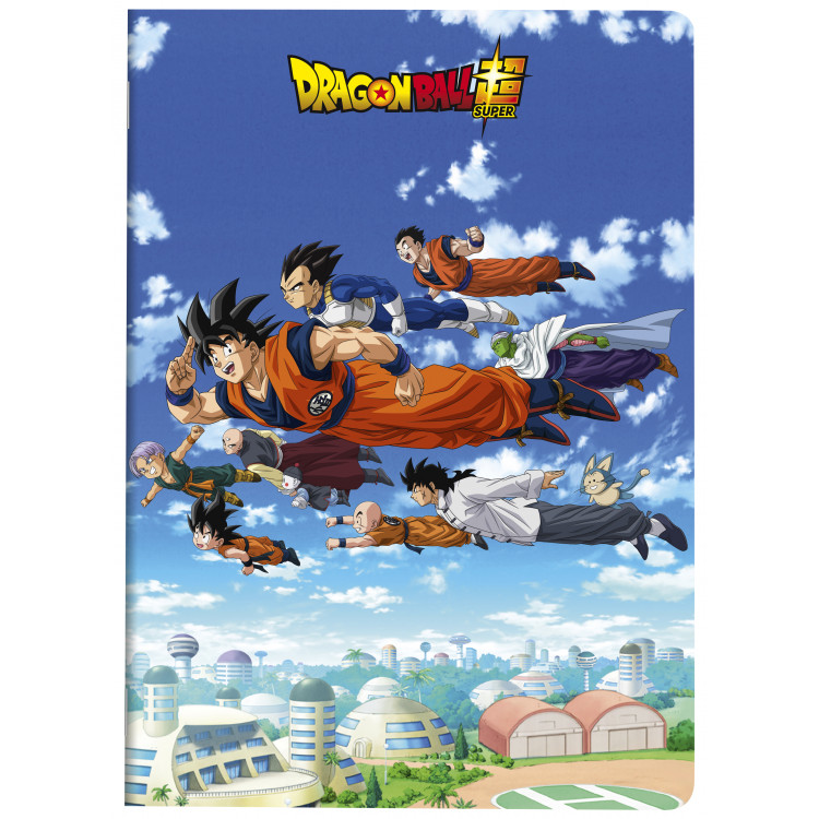 PIQURE DBZ A4 96P