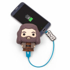 BATTERIE EXTERNE HAGRID