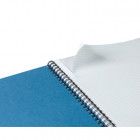 CAHIER TRAVAUX PRATIQUE DEFICIENTS VISUELS 17x22 64P
