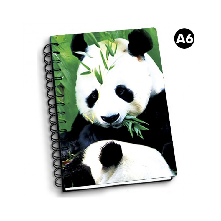 NOTEBOOK 3D A6 PANDAS