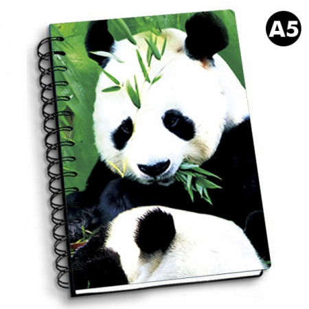 NOTEBOOK 3D A5 PANDAS