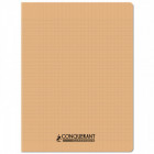 CAHIER POLYPRO 24*32 96P SEYES ABRI PAST