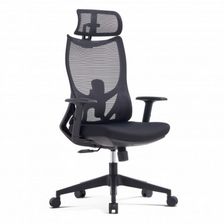 Fauteuil de bureau CANIS – Siège ergonomique synchrone avec appui-tête et soutien lombaire