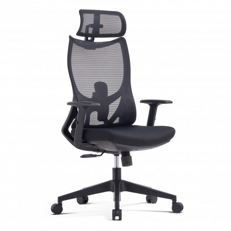 Fauteuil de bureau CANIS – Siège ergonomique synchrone avec appui-tête et soutien lombaire
