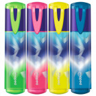 SURLIGNEURS TEENS ARCTIC X4 POCH CARTON