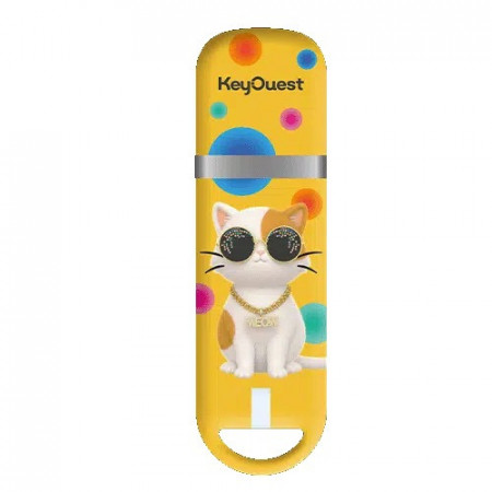 ClÃ© USB 32Go Animaux Chat
