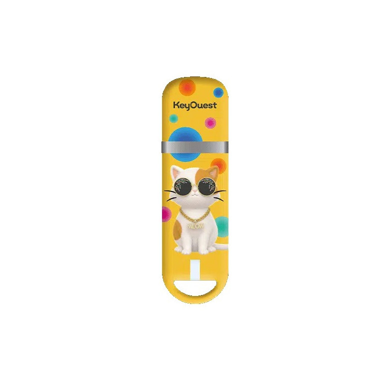 ClÃ© USB 32Go Animaux Chat