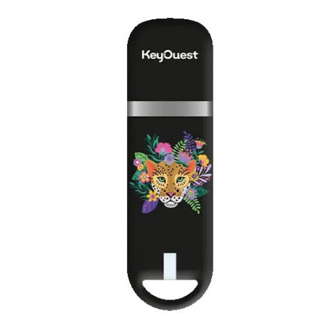 ClÃ© USB 32Go Safari PanthÃ¨re