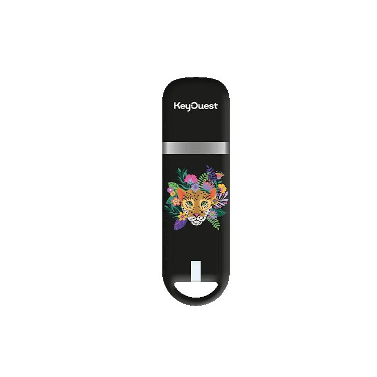 ClÃ© USB 32Go Safari PanthÃ¨re