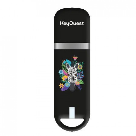 ClÃ© USB 32Go Safari ZÃ¨bre