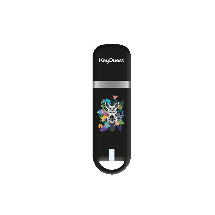 ClÃ© USB 32Go Safari ZÃ¨bre